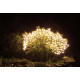 Vánoční osvětlení - světelná síť na baterie, venkovní / vnitřní, 100 LED, 1,5x1,5 m