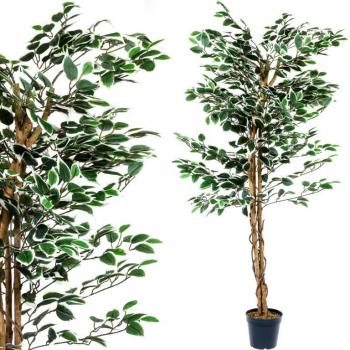 Umělá dekorativní rostlina do bytu / haly, fíkus s ohebnými větvičkami, 160 cm