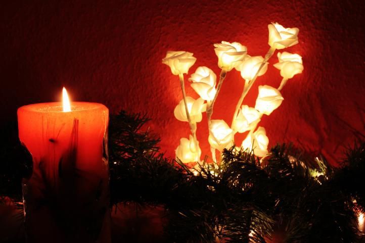 Bytové dekorativní osvětlení růže větvička, 16 led na baterie, 45 cm