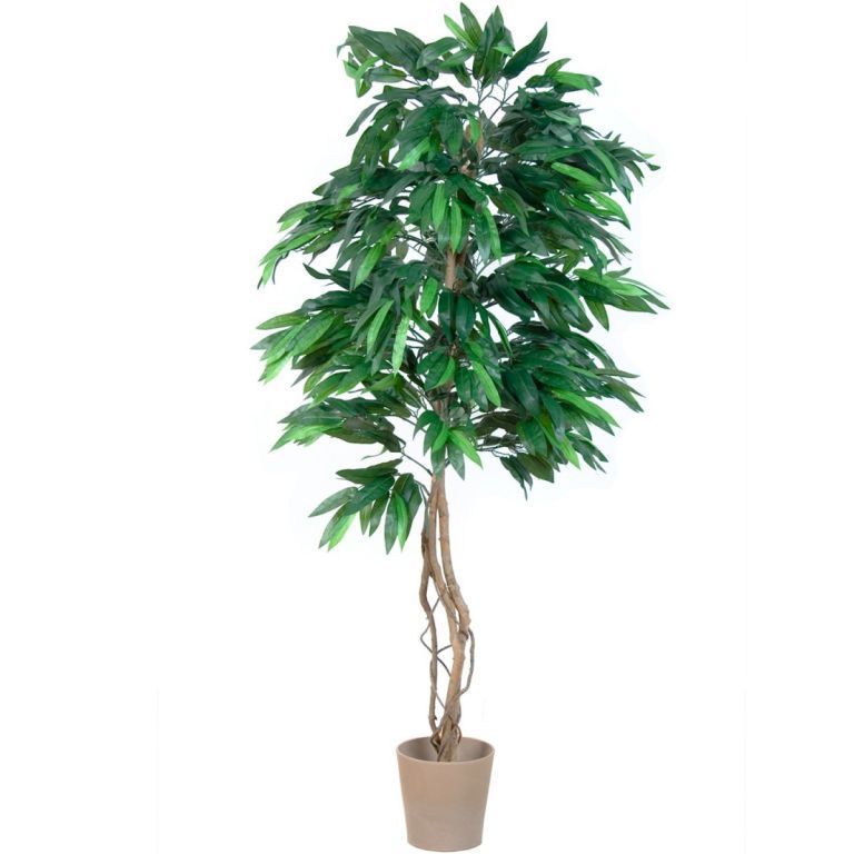 Velká umělá rostlina jako živá- mango vysoké 180 cm
