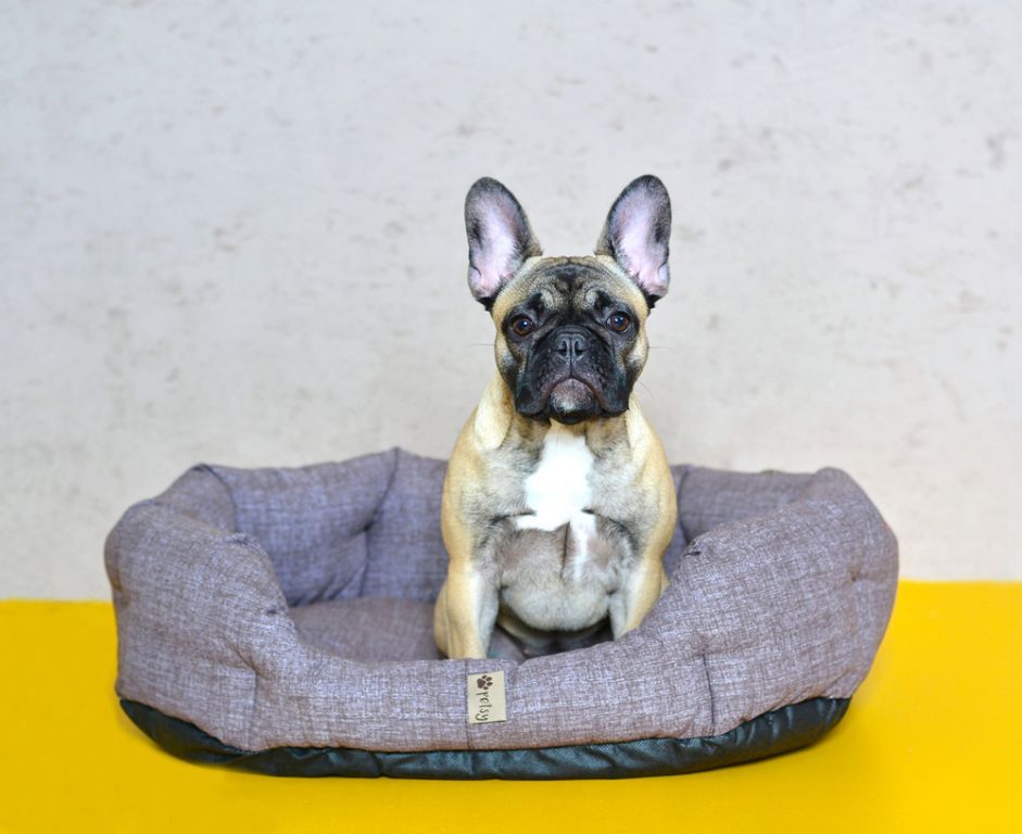 Hnědý oválný pelíšek pro psa pratelný s vyndavacím polštářem, 65 cm