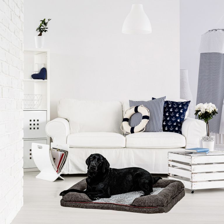 Textilní měkký pelech pro psa s vyvýšeným okrajem, pratelný potah na zip, tmavě šedý, 63x50 cm