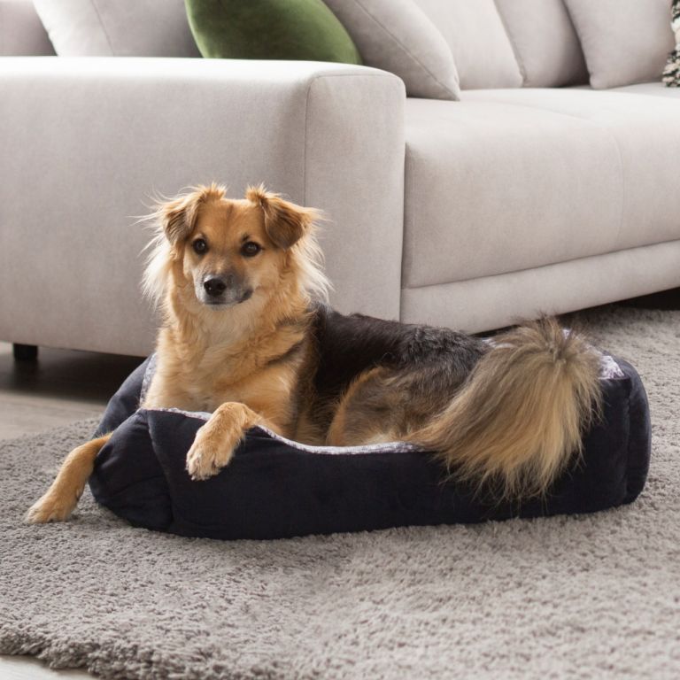 Kvalitní pelíšek pro psa obdélníkový pratelný, zvýšené okraje, vel. S, černý, 50x40x17 cm